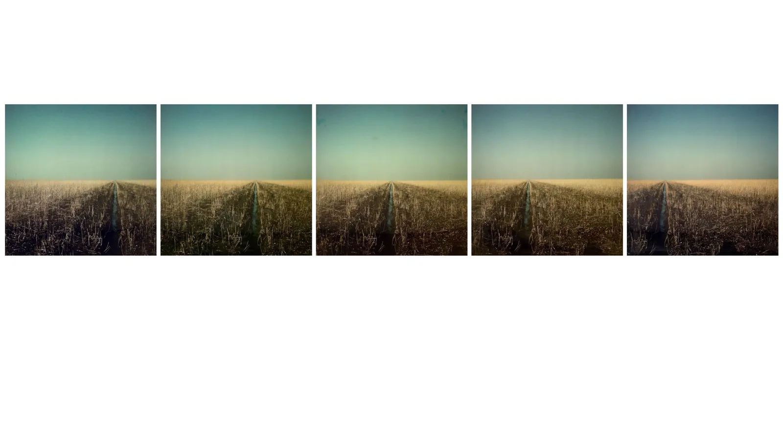 2026 06 11 RMT Kunstlandschap Ger Dekkers 1920x1080