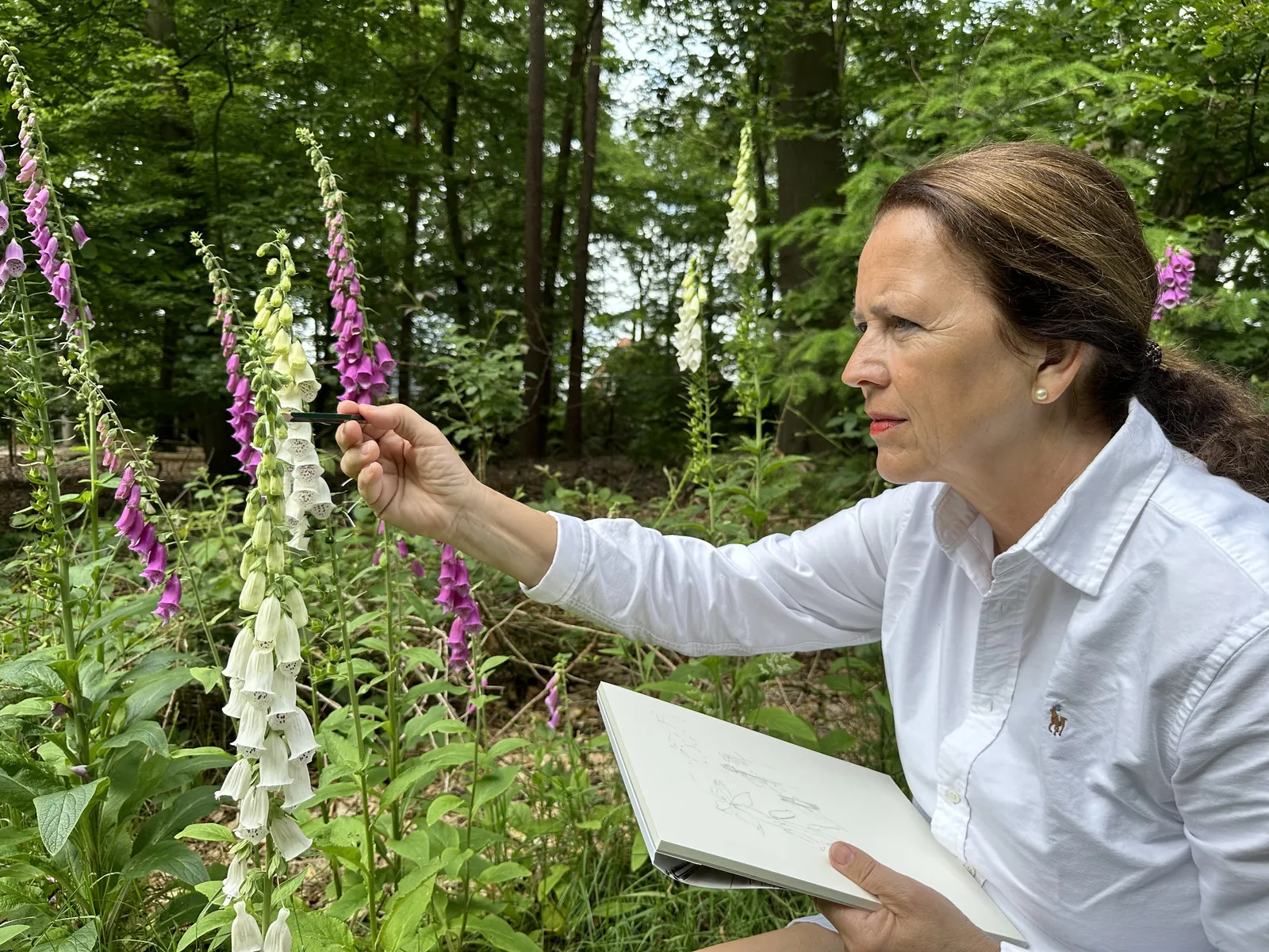 Botanisch tekenen