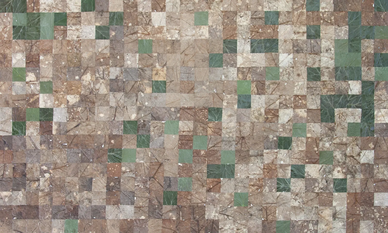 Milah van Zuilen detail 1