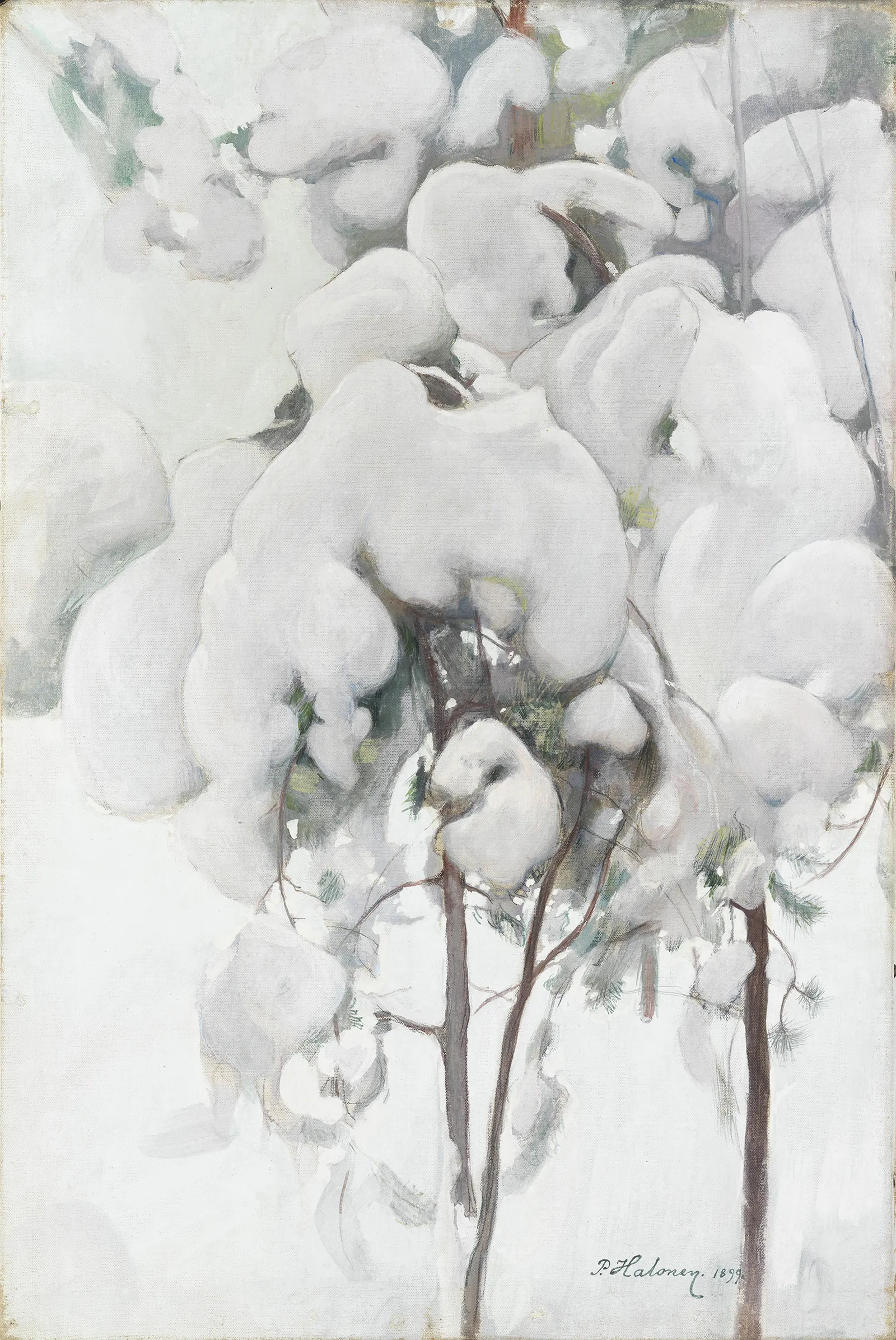 Pekka Halonen Met sneeuw bedekte jonge dennenbomen 1899 Finnish National Gallery Collection Ateneum Art Museum
