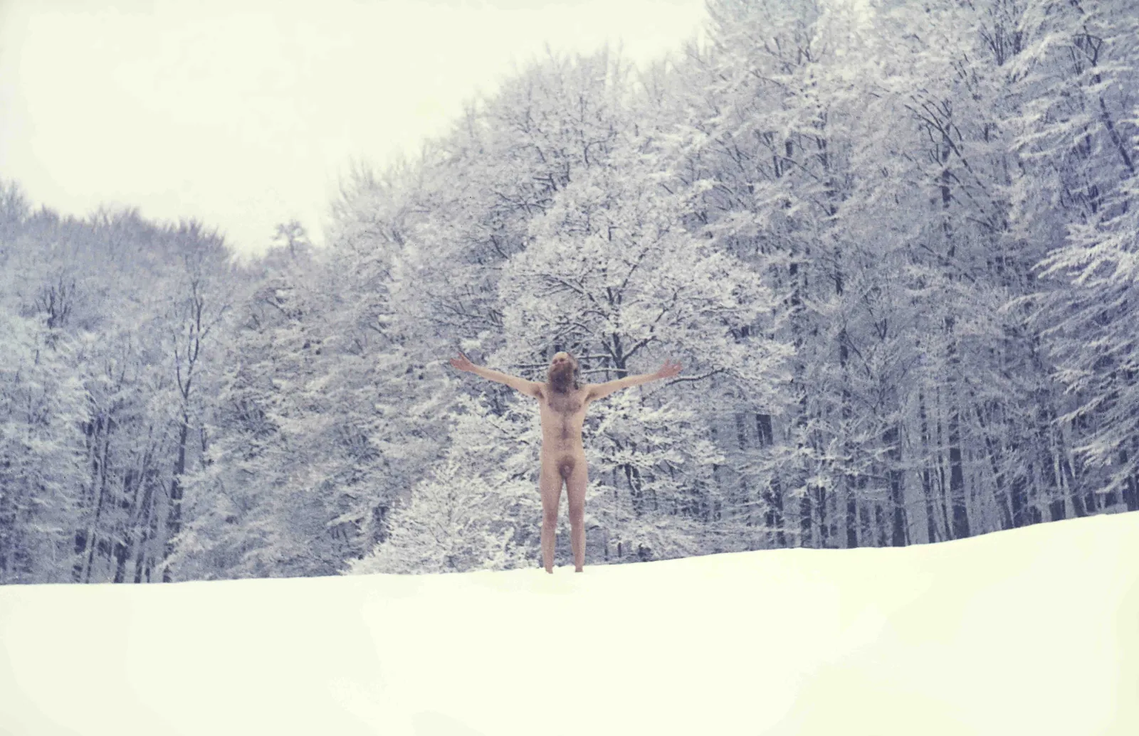 Q2 L1 XV Zo5ocayiz2 png