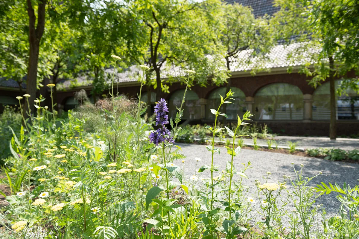 0023 LS 200603 Tuin RMT DSC4720