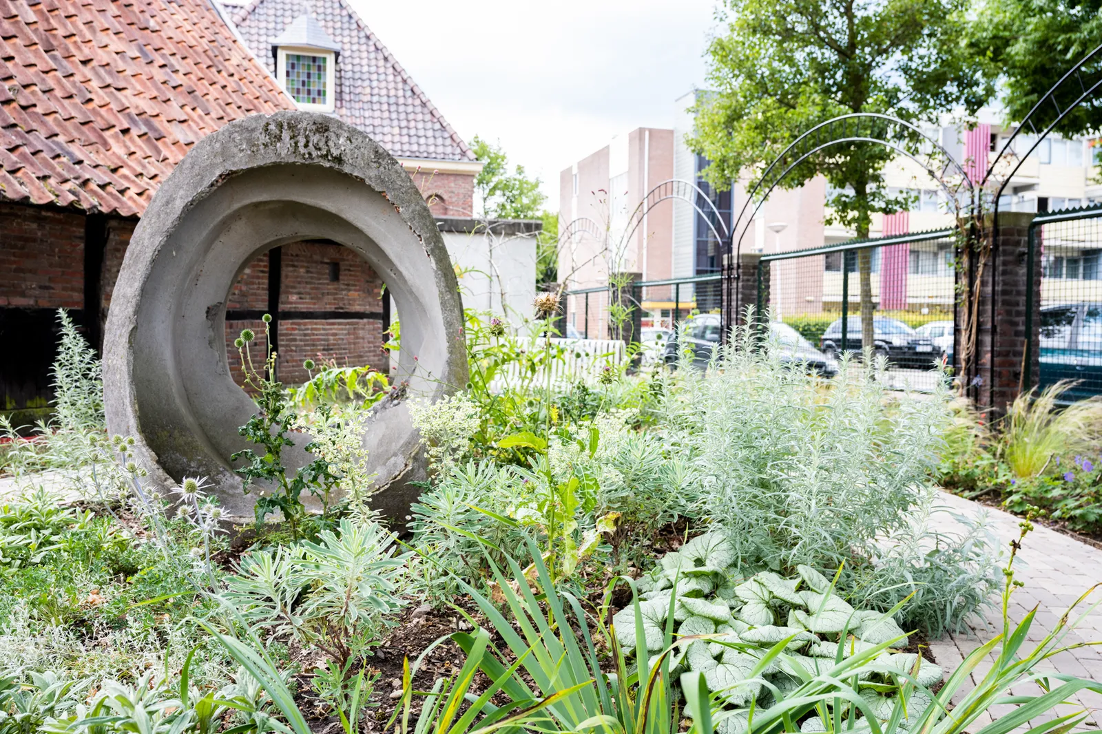 LS 220705 RMT DSC4770 lowres