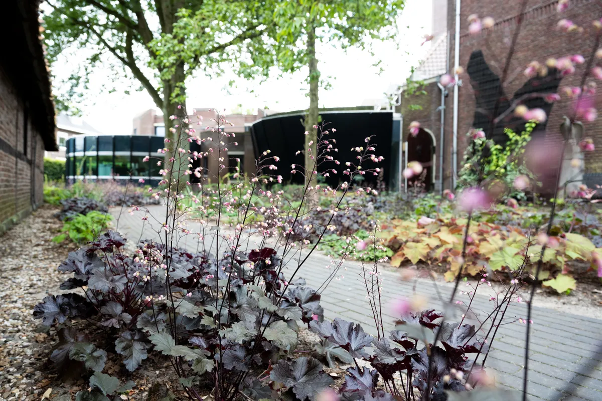 LS 220705 RMT DSC4740 lowres