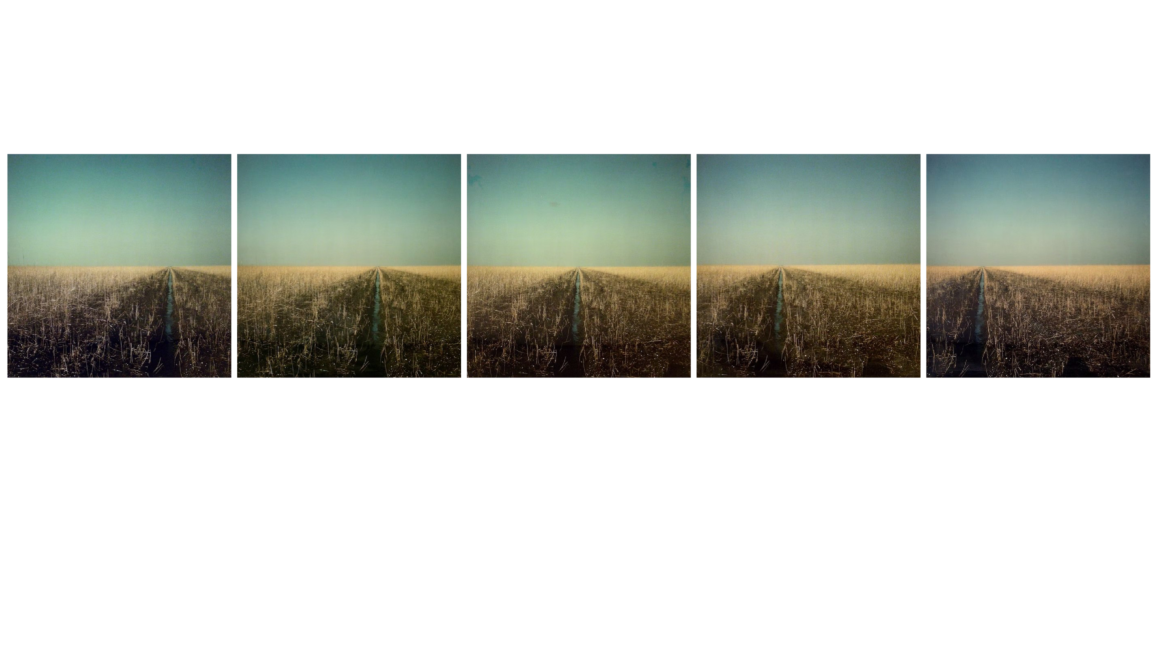 2026 06 11 RMT Kunstlandschap Ger Dekkers 1920x1080