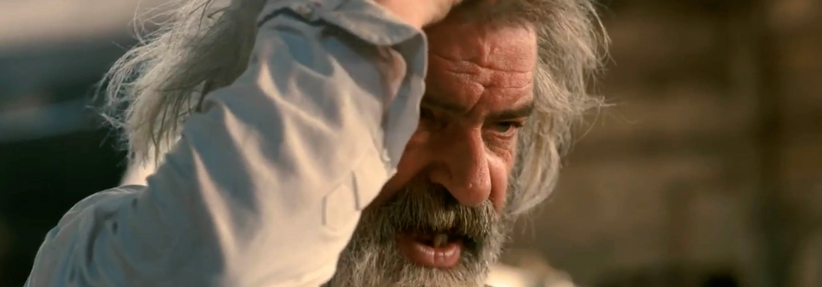 Bernardheesen header