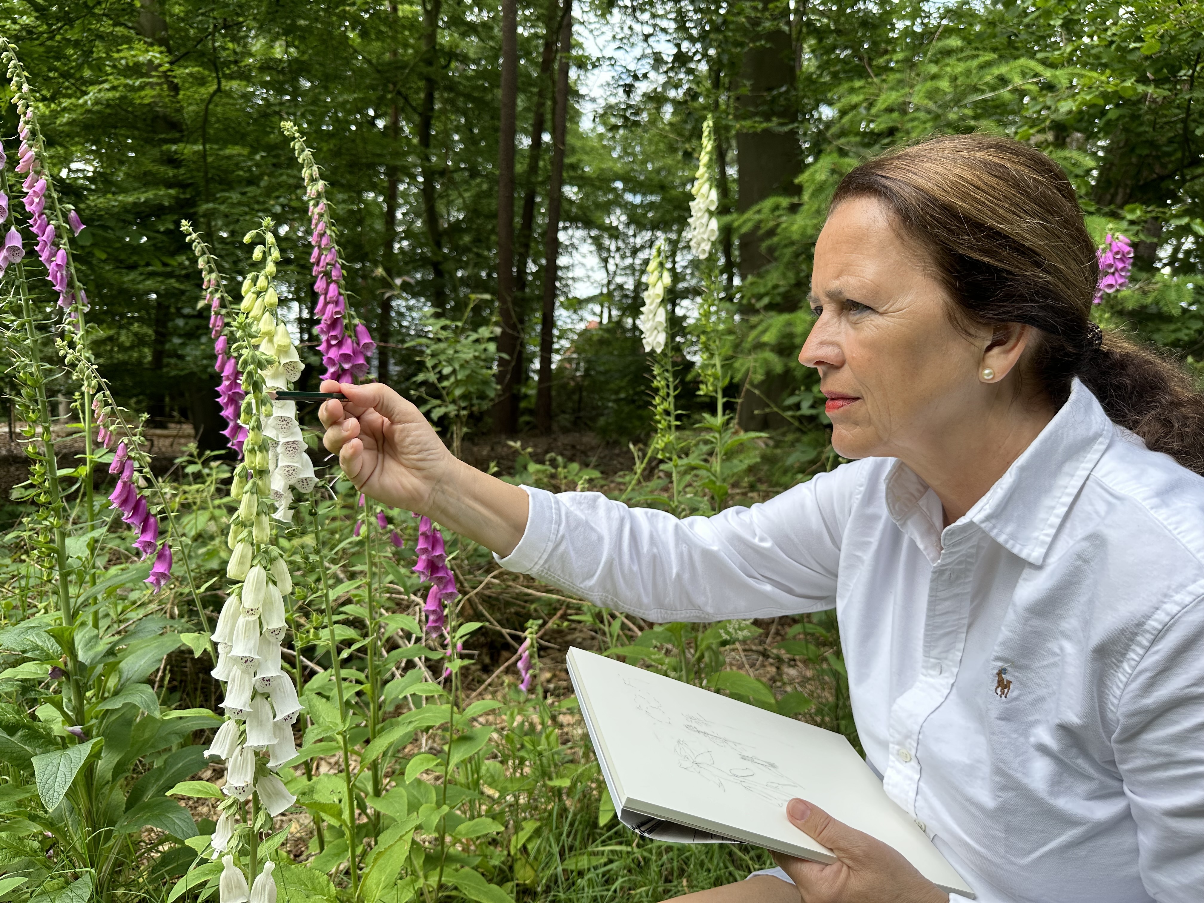 Botanisch tekenen