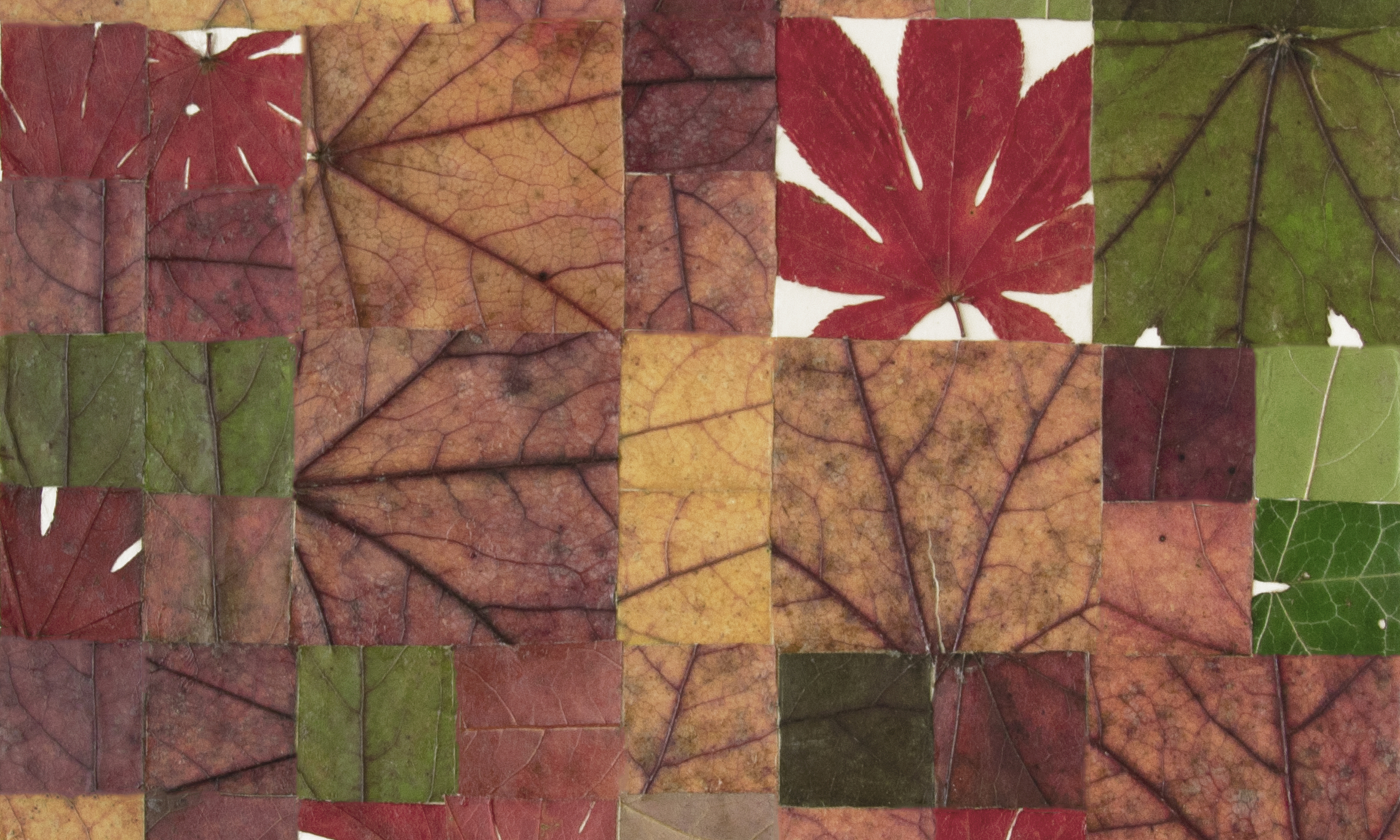 Milah van Zuilen detail 4