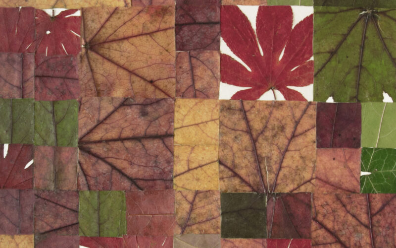 Milah van Zuilen detail 4