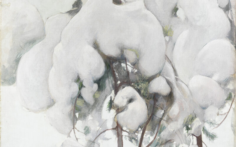 Pekka Halonen Met sneeuw bedekte jonge dennenbomen 1899 Finnish National Gallery Collection Ateneum Art Museum