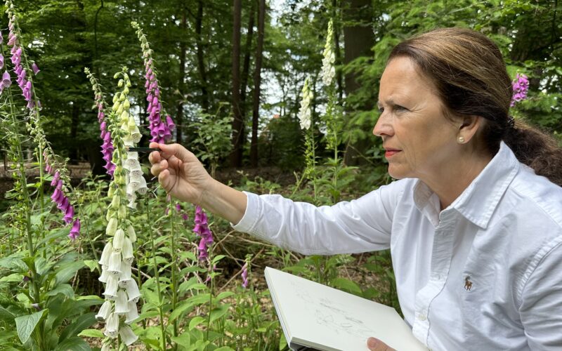 Botanisch tekenen